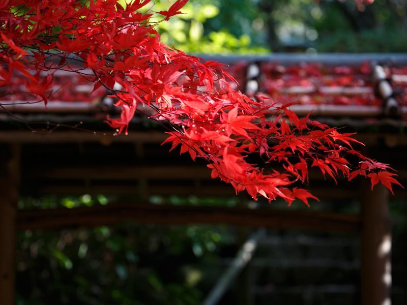 Nakanobo Zuien  Kobe Buitenkant foto
